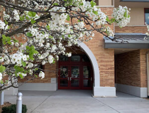 Meeting Summary and Briefs: New Lenox Public Library District Board of Trustees for March 16, 2026