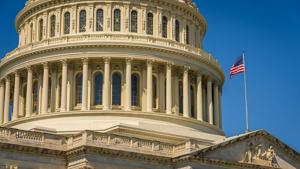 Senate votes to approve 'Bat Week'; no vote to end shutdown