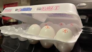 WATCH: Democratic attorneys general sue feds to release food benefits