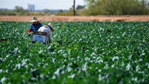 Mexican citizens charged with agricultural visa fraud