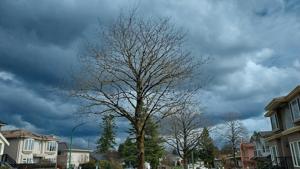 Illinois quick hits: Two additional tornadoes confirmed