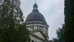 WAGOP calls on justice to recuse herself in income tax ruling over alleged conflict