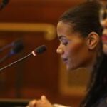Illinois lawmakers give raises to diversity commissioners they criticized