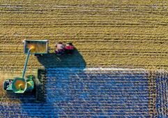 Bridge payment a ‘bandage,’ Illinois farmers say
