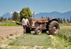 U.S. farmers struggling with high price of fuel, fertilizer as bankruptcies rise