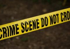 Illinois quick hits: Armed robbery charges after incident at Senate President's office