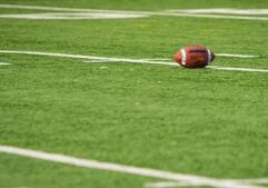 Illinois Quick Hits: Pritzker talks Bears stadium with NFL commissioner