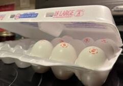 WATCH: Democratic attorneys general sue feds to release food benefits