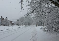 Winter storm to cause widespread disruption, states of emergency