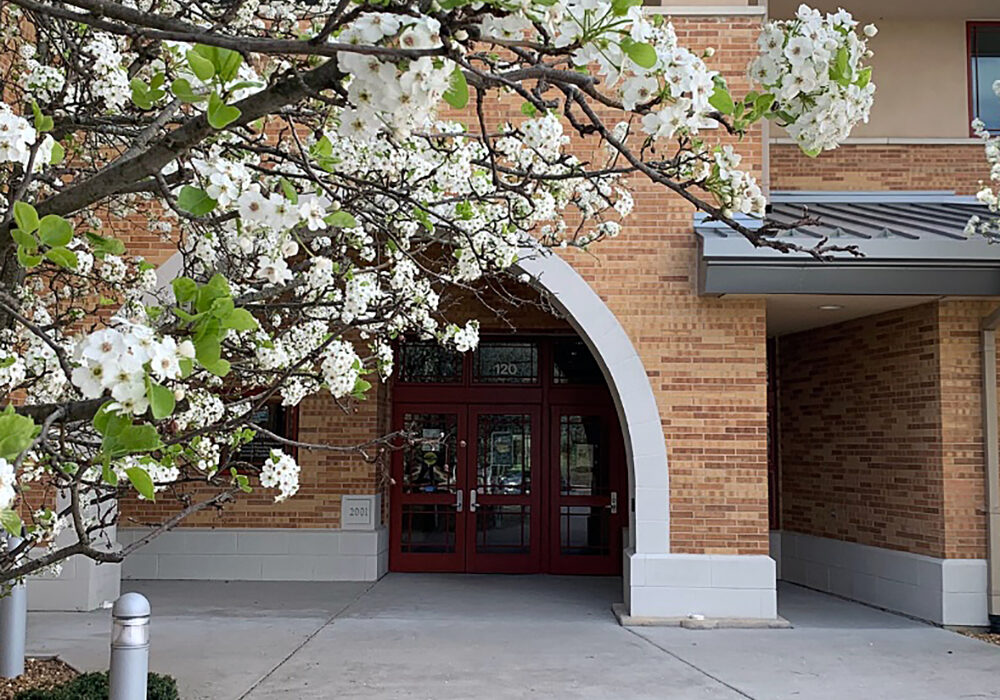 About Us Website Header - 1